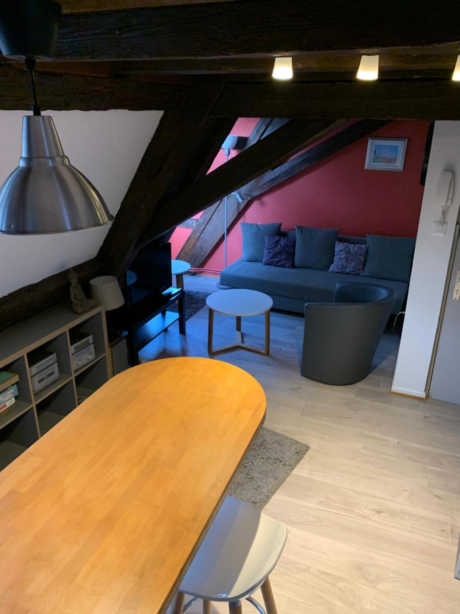 Appartement Duplex 2A Rue D'Alspach Colmar Luaran gambar
